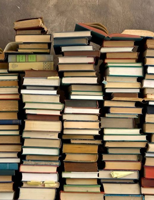 Libros CentroGeo